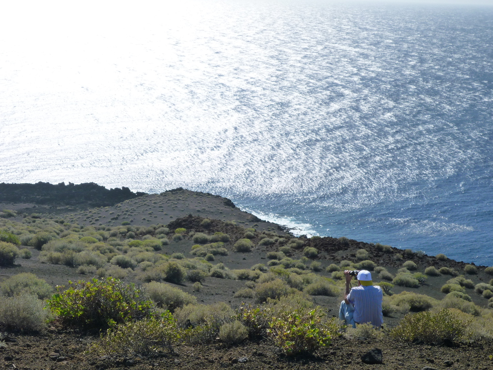 Postal desde una isla al borde del futuro