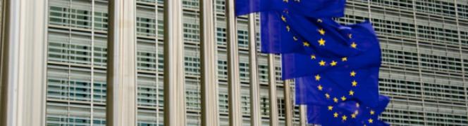 Fila de banderas comunitarias en Bruselas