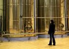 Deoleo perdió 245 millones el pasado ejercicio Deoleo perdió 245 millones el pasado ejercicio