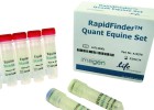 Una empresa española lanza un test para detectar carne de caballo Una empresa española lanza un test para detectar carne de caballo
