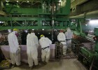 Noruega, Emiratos Árabes Unidos y Canadá, los países con más trabajo Noruega, Emiratos Árabes Unidos y Canadá, los países con más trabajo