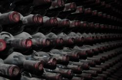 Un malbec argentino de altura