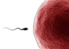 Las clínicas de fertilidad ganan a la crisis Las clínicas de fertilidad ganan a la crisis