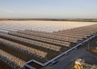 Nextera lleva a los tribunales de EE UU su inversión energética en España Nextera lleva a los tribunales de EE UU su inversión energética en España