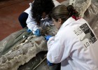 El 80% de los científicos en el extranjero no regresarían a España El 80% de los científicos en el extranjero no regresarían a España