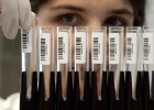 EE UU impide a un laboratorio patentar ADN humano EE UU impide a un laboratorio patentar ADN humano