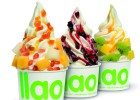 Yogur helado sin fecha de caducidad Yogur helado sin fecha de caducidad
