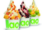 Yogur helado sin fecha de caducidad Yogur helado sin fecha de caducidad