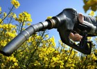 ¿Pactan las petroleras el precio de la gasolina? La CNC ve indicios de que sí ¿Pactan las petroleras el precio de la gasolina? La CNC ve indicios de que sí