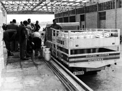 La leche que llegó del pasto del norte