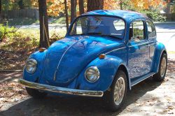 Volkswagen Beetle