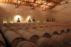 La última fase de crianza de los vinos se produce en barricas de roble francés de tostado medio, que se utilizan durante ciclos productivos de tres años.