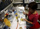 El gasto en I+D farmacéutica contiene su caída El gasto en I+D farmacéutica contiene su caída