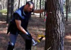 Empresas puente entre naturaleza y tecnología Empresas puente entre naturaleza y tecnología
