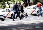 10.000 atropellos al año que se pueden prevenir 10.000 atropellos al año que se pueden prevenir