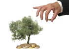 Las pymes desaprovechan las deducciones medioambientales Las pymes desaprovechan las deducciones medioambientales