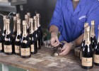 Freixenet: Freixenet: