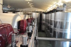 Un verdejo a la conquista del mercado mundial