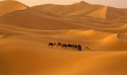El desierto del Sáhara, al norte de África, es uno de los más bellos del mundo.