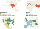 Campofrío: ¿mexicana?, ¿china? O las dos cosas Campofrío: ¿mexicana?, ¿china? O las dos cosas