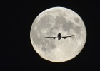 La NASA plantará nabos y albahaca en la Luna en 2015 La NASA plantará nabos y albahaca en la Luna en 2015