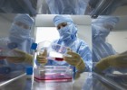 América Latina atrae a las bioempresas América Latina atrae a las bioempresas