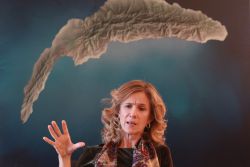 “Europa tiene un entorno financiero ineficiente para las empresas innovadoras”