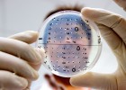Bruselas multa con 16 millones de euros a las farmacéuticas J&J y Novartis Bruselas multa con 16 millones de euros a las farmacéuticas J&J y Novartis