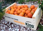 Los Del Rivero quieren ser el frutero de confianza en la web Los Del Rivero quieren ser el frutero de confianza en la web