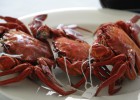 Tiempo de nécoras y otras delicias Tiempo de nécoras y otras delicias