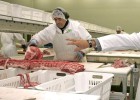 Un mercado laboral débil con señales de recuperación Un mercado laboral débil con señales de recuperación