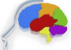 Neurománager, el perfil del directivo que viene Neurománager, el perfil del directivo que viene