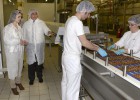 La actividad manufacturera vuelve al crecimiento en diciembre La actividad manufacturera vuelve al crecimiento en diciembre