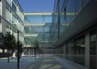 Las facultades dan el corte Las facultades dan el corte