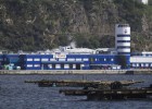 Grupo Damm propone excluir a Pescanova de Bolsa Grupo Damm propone excluir a Pescanova de Bolsa