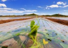 Una región que vende mucho y bien Una región que vende mucho y bien