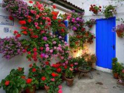 En primavera se pueden visitar los patios de Córdoba, como el de la imagen.