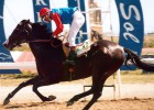 Un hipódromo efímero en la Castellana Un hipódromo efímero en la Castellana