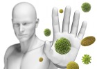 Fármacos que nos hacen inmunes al cáncer Fármacos que nos hacen inmunes al cáncer