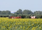 Las ventas de camiones crecen un 16% en mayo y las de autobuses caen Las ventas de camiones crecen un 16% en mayo y las de autobuses caen