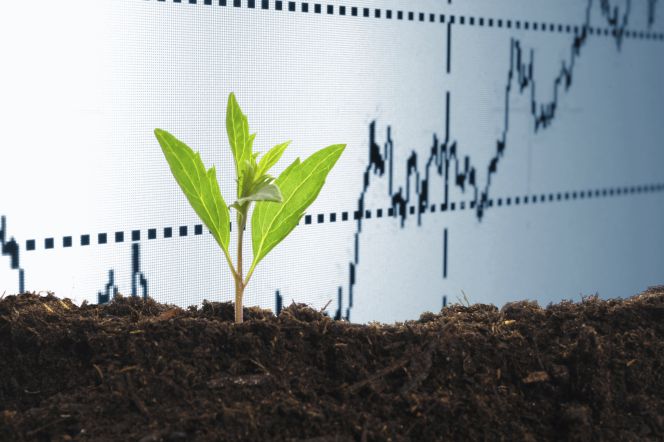 Iberdrola lidera el boom de los bonos verdes