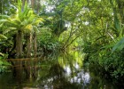 Descubra el Amazonas en el centro del planeta Descubra el Amazonas en el centro del planeta