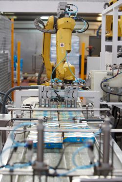 Las conservas son envasadas por máquinas robotizadas.