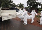 ¿Llegará a tiempo una vacuna contra la epidemia del Ébola? ¿Llegará a tiempo una vacuna contra la epidemia del Ébola?