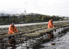 Una huerta de ostras en el río asturiano Eo Una huerta de ostras en el río asturiano Eo