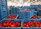 Rusia modificará la lista de alimentos que prohibió importar desde Occidente Rusia modificará la lista de alimentos que prohibió importar desde Occidente