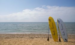 Tablas para la práctica de paddle surf en Marbella.