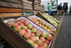 Guía de inversión para la vuelta del verano