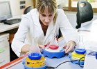 El test español que detecta la úlcera El test español que detecta la úlcera