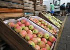 Los precios vuelven a caer en
agosto y se asoman a la deflación Los precios vuelven a caer en
agosto y se asoman a la deflación